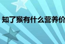 知了猴有什么营养价值（知了猴有什么营养）