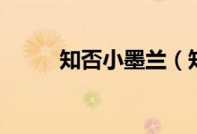 知否小墨兰（知否小墨兰谁演的）