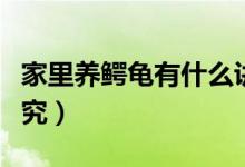 家里养鳄龟有什么讲究（家里养鳄龟有什么讲究）