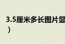 3.5厘米多长图片显示（2.5厘米多长图片显示）