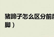 猪蹄子怎么区分前后脚（猪蹄子怎么区分前后脚）