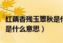 红藕香残玉簟秋是什么含义（红藕香残玉簟秋是什么意思）