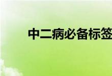 中二病必备标签（中二病必备句子）