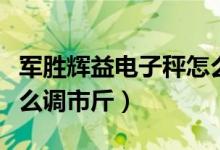 军胜辉益电子秤怎么使用（军胜辉益电子秤怎么调市斤）