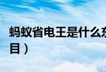 蚂蚁省电王是什么东西（蚂蚁省电王是什么项目）