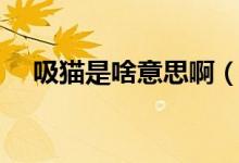 吸猫是啥意思啊（吸猫是啥意思是什么）