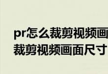 pr怎么裁剪视频画面大小比例9:16（pr怎么裁剪视频画面尺寸）