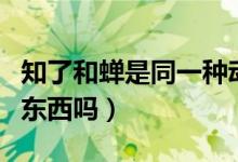 知了和蝉是同一种动物吗（知了和蝉是同一种东西吗）