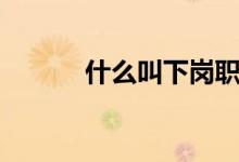 什么叫下岗职工（什么叫下家）