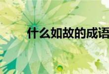 什么如故的成语（什么如故的成语）