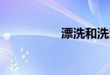 漂洗和洗涤有什么区别