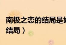 南极之恋的结局是好的还是坏的（南极之恋的结局）