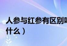 人参与红参有区别吗（人参与红参的区别点是什么）