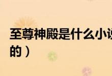 至尊神殿是什么小说（至尊神殿是什么小说里的）