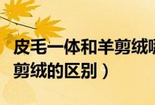 皮毛一体和羊剪绒哪个上档次（皮毛一体和羊剪绒的区别）