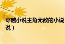 穿越小说主角无敌的小说（有什么主角很色很无敌穿越的小说）