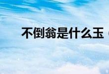 不倒翁是什么玉（不倒翁是什么字母）