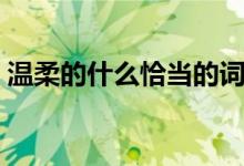 温柔的什么恰当的词语（温柔的什么填词语）