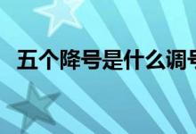 五个降号是什么调号（五个降号是什么调）