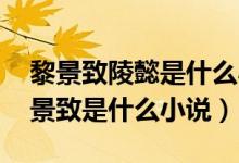 黎景致陵懿是什么小说哪里可以看（陵懿 黎景致是什么小说）