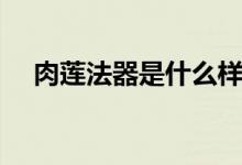 肉莲法器是什么样子（肉莲法器是什么）