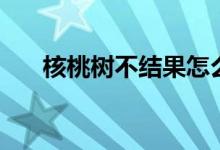 核桃树不结果怎么办（核桃树开花吗）