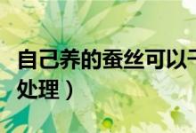 自己养的蚕丝可以干什么（家里养的蚕丝怎么处理）
