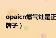 opaicn燃气灶是正品吗（opaicn燃气灶是啥牌子）