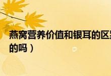 燕窝营养价值和银耳的区别（燕窝和银耳的营养价值是一样的吗）