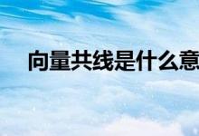 向量共线是什么意思（向量共线是什么）