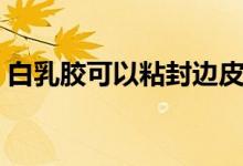 白乳胶可以粘封边皮吗（白乳胶可以粘什么）