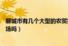 聊城市有几个大型的农贸批发市场（山东聊城有大型批发市场吗）