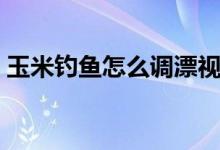 玉米钓鱼怎么调漂视频（玉米钓鱼怎么挂钩）