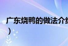 广东烧鸭的做法介绍（广东烧鸭的做法与配方）