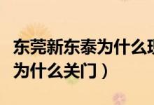 东莞新东泰为什么现在无人问津（东莞新东泰为什么关门）