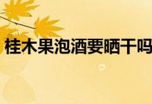 桂木果泡酒要晒干吗（桂木果泡酒要晒干吗）