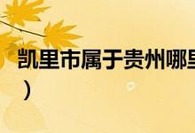 凯里市属于贵州哪里（凯里市属于贵州哪个市）