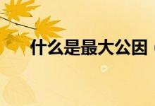 什么是最大公因（什么是最大公约数）