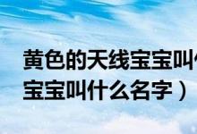 黄色的天线宝宝叫什么?（天线宝宝里黄色的宝宝叫什么名字）