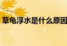 草龟浮水是什么原因（草龟浮水是什么原因）