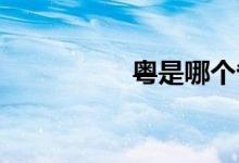 粤是哪个省的简称车牌