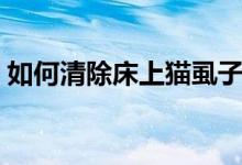 如何清除床上猫虱子（如何清除床上的螨虫）
