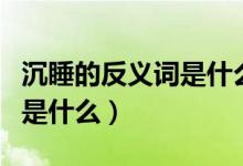 沉睡的反义词是什么标准答案（沉睡的反义词是什么）