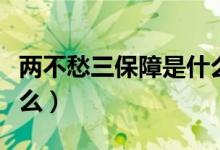 两不愁三保障是什么意思（两不愁三保障是什么）