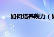 如何培养魄力（如何培养魄力和胆识）