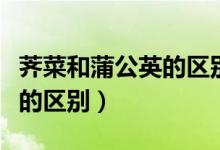 荠菜和蒲公英的区别图片对比（荠菜和蒲公英的区别）