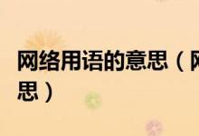 网络用语的意思（网络用语钓鱼和鱼塘是啥意思）