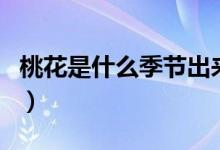 桃花是什么季节出来的（桃花是什么季节开的）