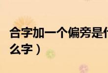 合字加一个偏旁是什么（合字加一个偏旁是什么字）