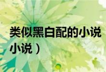 类似黑白配的小说（有没有和黑白配差不多的小说）